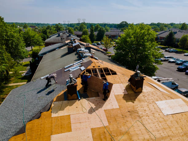 Quick and Trustworthy Emergency Roof Repair Services in Tupelo, MS
