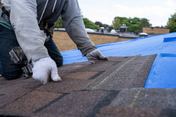 Best Metal Roofing Contractor  in Tupelo, MS