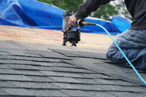 Best New Roof Installation  in Tupelo, MS